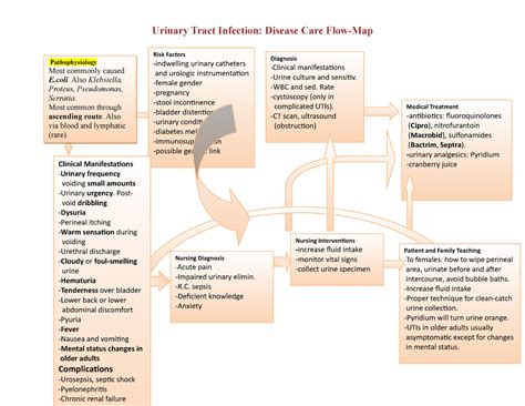 Infection UTI Disease Care flow map - Diagnosis Clinical manifestations ...