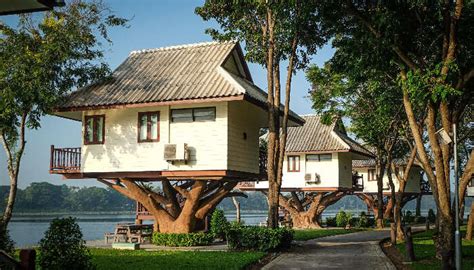 13 Amazing Tree Houses in India: Treat For Your Younger Self In 2023!