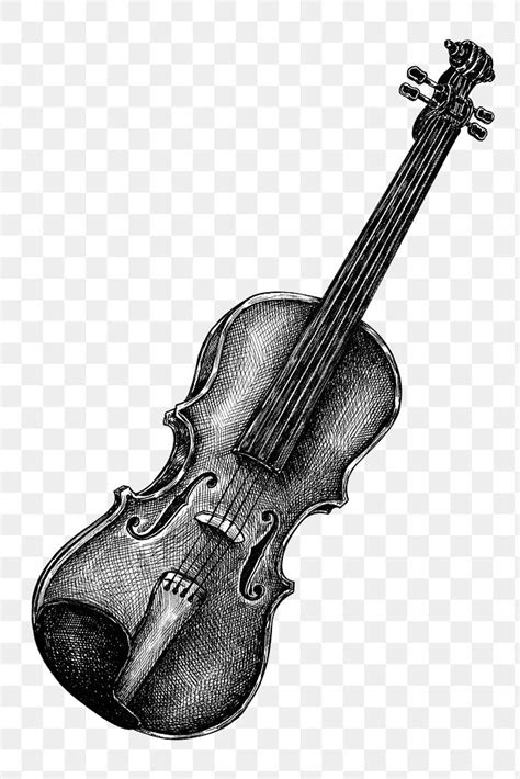 Cello Vector Images | Free Photos, PNG Stickers, Wallpapers & Backgrounds - rawpixel