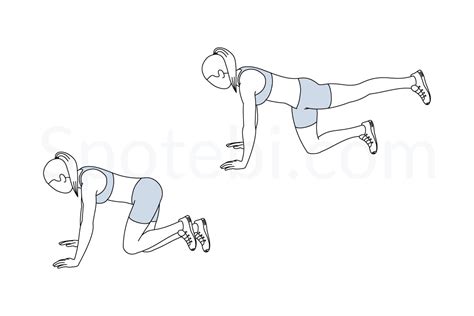 Donkey Kicks | Illustrated Exercise Guide