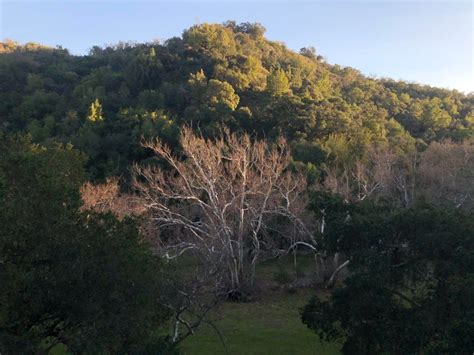 Sunol Regional Wilderness: Photos Of The Day | Fremont, CA Patch