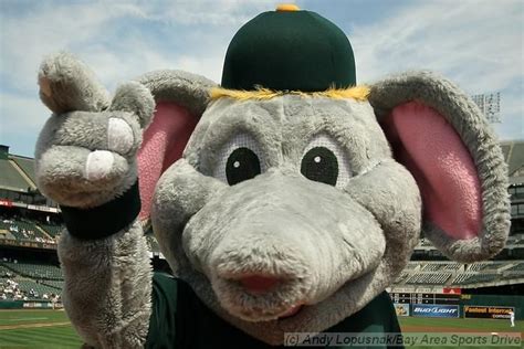 "Stomper" - Oakland Athletics (MLB) | Mascot, Oaktown, American league