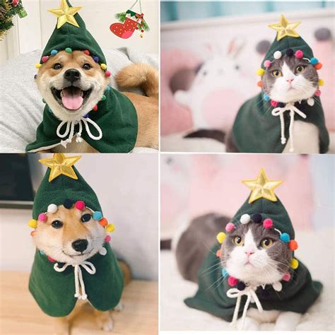 Pet Holiday Outfits You Need to See ASAP: 7 Picks