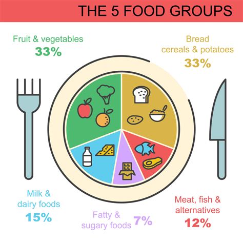 the 5 food groups 2236094 Vector Art at Vecteezy