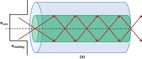 1: (a) Schematic diagram shows step index optical fiber guiding light... | Download Scientific ...