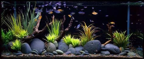 Very Cool River Rock/Grass for Aquarium