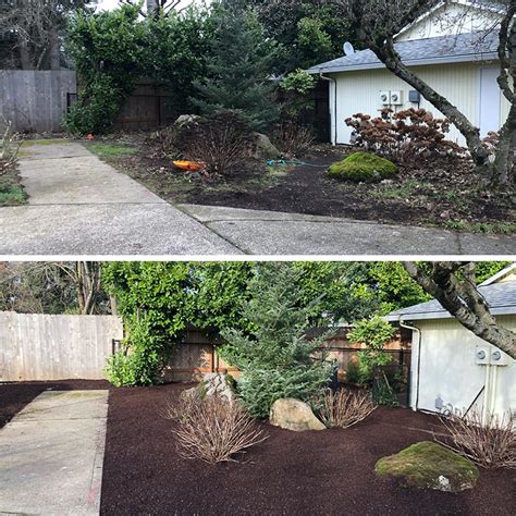 Yard Cleanups in Portland, Beaverton, & Milwaukie, OR | J&C Lawn Care