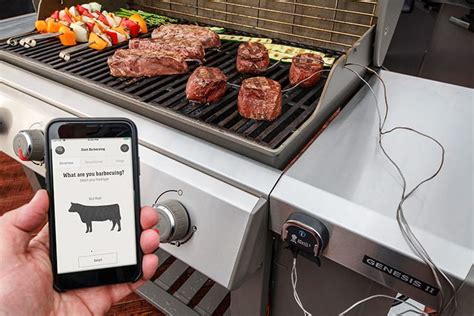 Weber iGrill: Smarte Grillthermometer im Test-Überblick