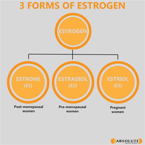 Hormone Health: Estrogen Metabolism - The Good The Bad and the Ugly ...