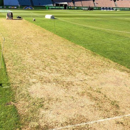 cricket pitch types | Crictaka