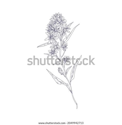 12,495 Goldenrod Flowers Images, Stock Photos & Vectors | Shutterstock