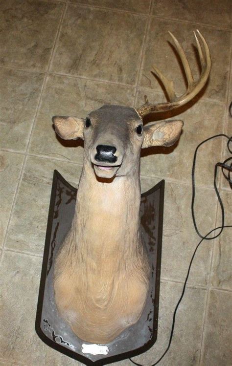 Gemmy Animated Buck Talking Singing Deer Head For Parts or Repair ...