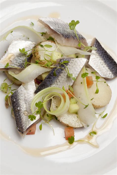 Soused Herring Recipe - Great British Chefs