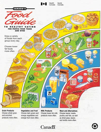 What's on your plate? Inside the changes to Canada's Food Guide | CTV News