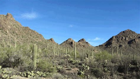 Gates-Pass-Trail-3 | Taken in Tucson Moutain Park, Pima Coun… | Flickr