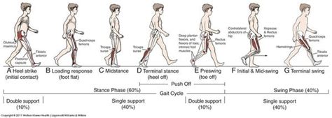 Instrumented Gait Analysis - Physiopedia