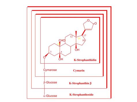 PPT - The Cardiac Glycosides Cardio-active Glycosides PowerPoint Presentation - ID:1739465