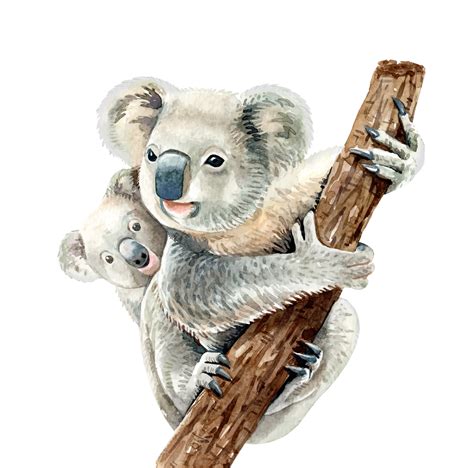 Koala bear watercolor Koala original artwork Koala baby bear watercolor Koala nursery decor ...