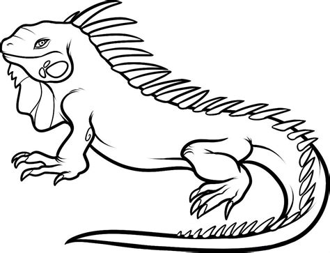 Cartoon Iguana Pictures - Cliparts.co