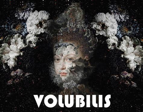 Volubilis Projects | Photos, videos, logos, illustrations and branding on Behance