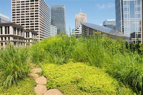 Chicago City Hall Rooftop Garden Reduces Heat Island Effect | Urban Ghosts