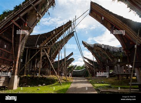 Native and Traditional Houses of Tana Toraja in Sulawesi Stock Photo ...