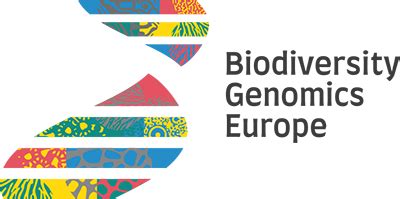 Biodiversity genomics workflow - Biodiversity Genomics Europe