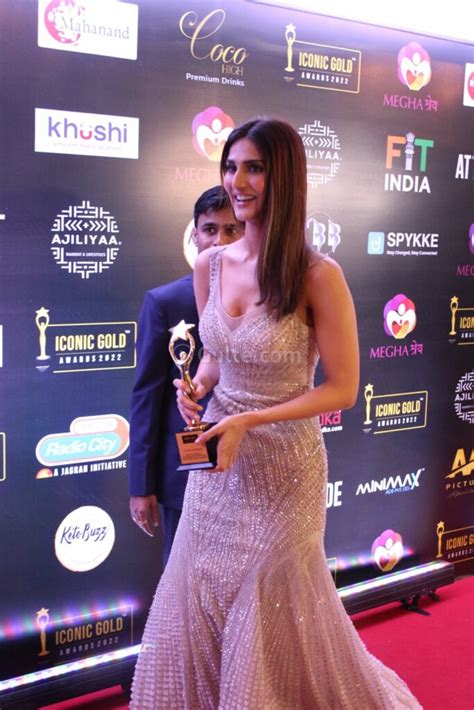 Bollywood Celebs Make Stunning Appearances On The Awards Night