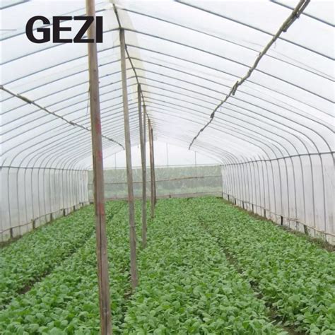 Gezi Greenhouse Vegetable Greenhouse Mosquito Net Cover 60 Mesh Anti Aging Encryption Mesh ...