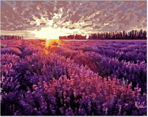 Sunset on a lavender field - Paint By Numbers Warehouse