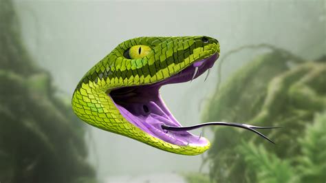 Green Snake Head