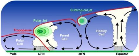 Global Wind Belts Study Guide | CK-12 Foundation