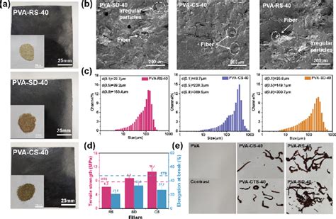 Morphology and performance of PVA/RS, PVA/CS, and PVA/SD composites.... | Download Scientific ...