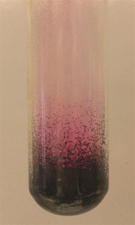 Phase Transitions | Chemistry: Atoms First