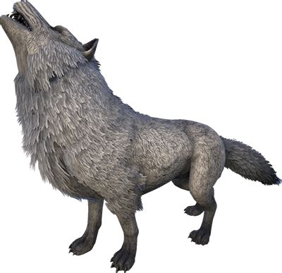 Direwolf | ARK: Survival Evolved