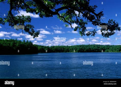 Walden Pond, Walden Pond State Reservation, Massachusetts Stock Photo ...