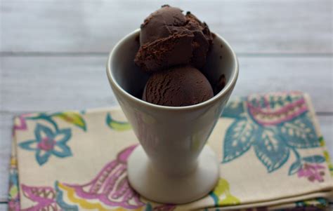 Decadent Dark Chocolate Ice Cream Recipe • Food, Folks and Fun