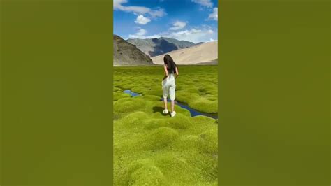 Puga Valley, Ladakh WhatsApp status| India Travel Reels 😘| New Travel Instagram Reels 🌈 - YouTube