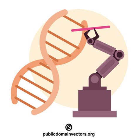 DNA structure change | Public domain vectors