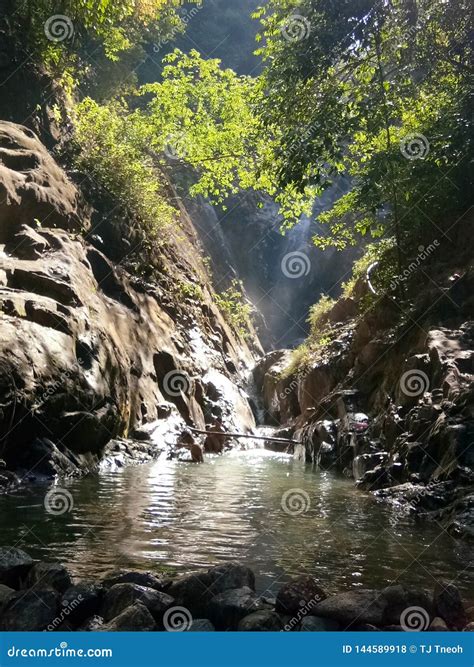 Hutan Lipur Gunung Pulai stock photo. Image of gunung - 144589918