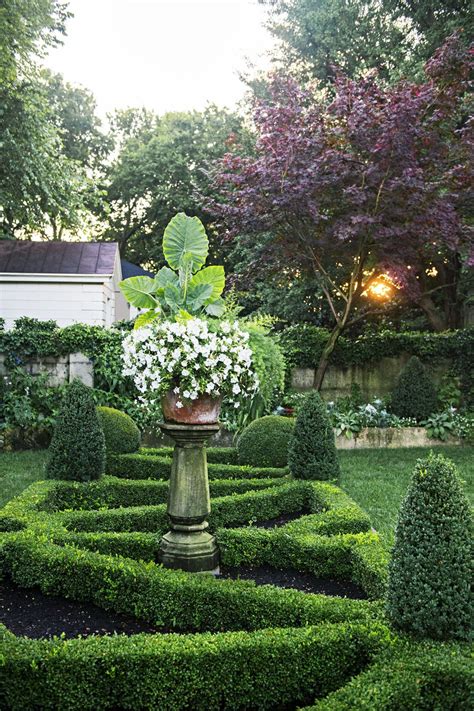 Boxwood has a long history in garden design, from ancient Rome to ...