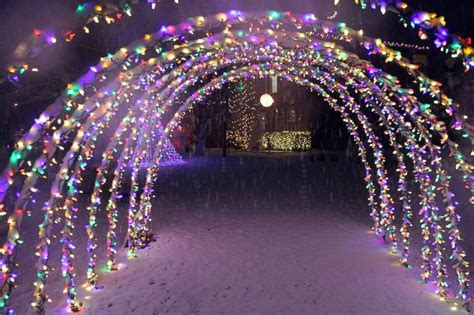 This family's 'Baby Shark' Christmas light display will make you say doo doo doo doo doo doo ...