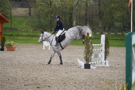 Grey Horse - Show jumping stock 4.2 by MagicLecktra on DeviantArt