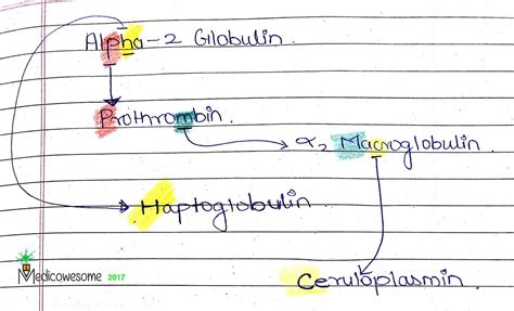 Medicowesome: Plasma Proteins Mnemonic