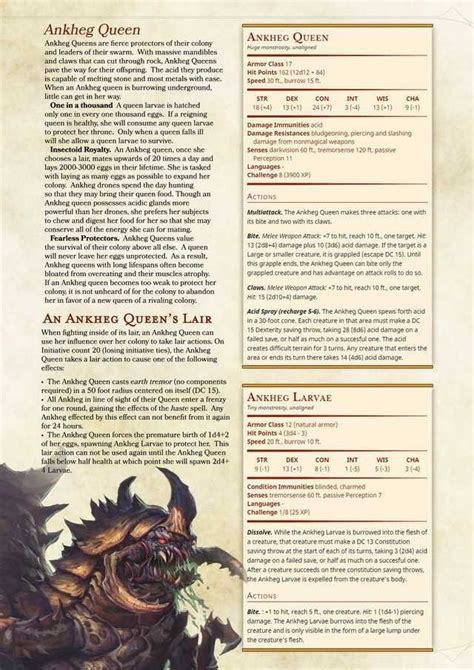 Ankheg Queen | Dungeons and dragons rules, Dungeons and dragons ...