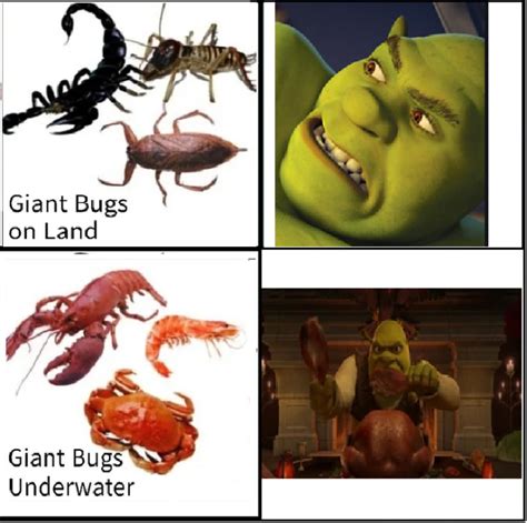 Those are bugs too : r/memes