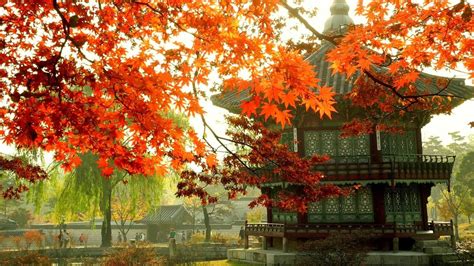 South Korean Autumn Wallpapers - Wallpaper Cave