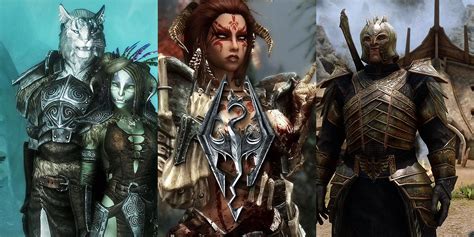 Skyrim: The 10 Best Armor Mods To Date