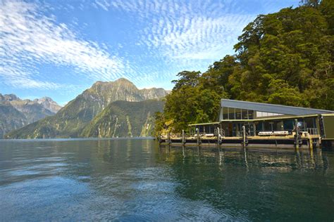 Milford Sound Underwater Observatory - Southern Discoveries