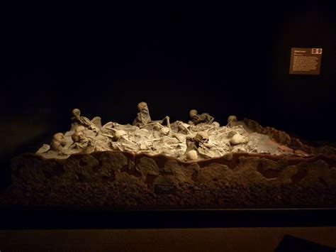 17 Best images about Pompeii exhibit Cincinnatti 2012 on Pinterest | The muse, Statue of and Ash